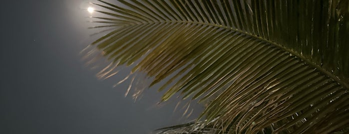 Coco Palm Beach Resort is one of Samui.