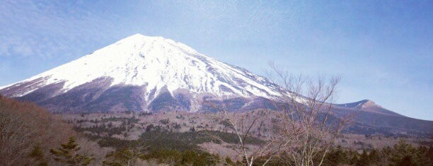 富士山 Mt Fuji