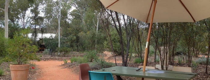 the BEAN TREE café is one of Outback.