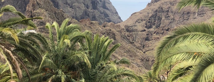 La Piedra is one of Tenerife.
