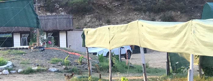 Camp Caretta is one of KARAVAN ALANI.