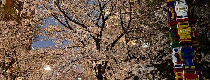 さくら坂 is one of 🌸桜が綺麗な坂.