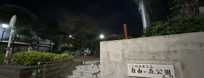 自由が丘公園 is one of mayor.
