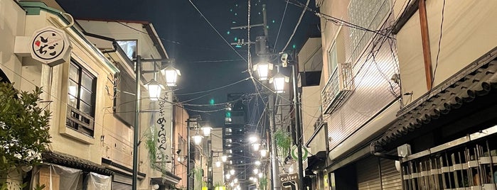 雷門柳小路 is one of 浅草の通り.