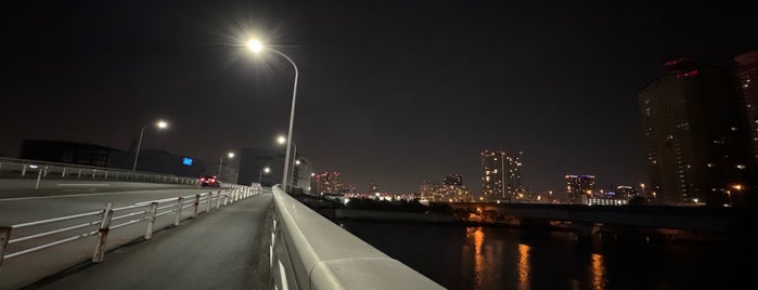 新末広橋 is one of 東京橋 ～下町編～.