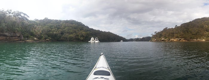 Sydney Kayak is one of Sydney bucket list.