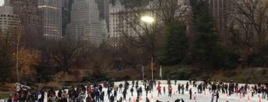 Wollman Rink is one of NYC +.