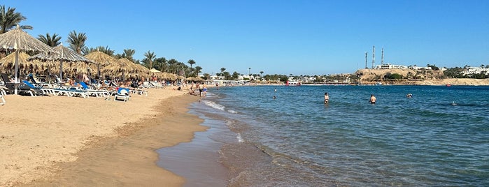 Naama Beach is one of Sharm.