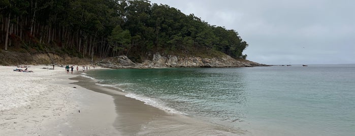 Praia de Figueiras is one of Lugares favoritos de hello_emily.