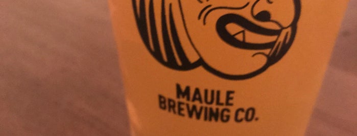 Maule Collective is one of สถานที่ที่ Carl ถูกใจ.