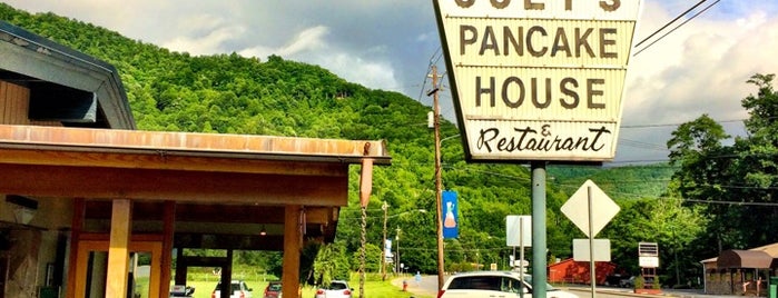 Joey's Pancake House is one of Blue Ridge Parkway.
