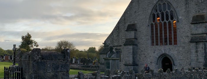 Holycross Abbey is one of Irlanda.