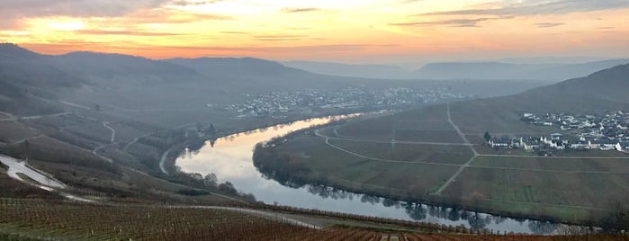 Trips / Mosel