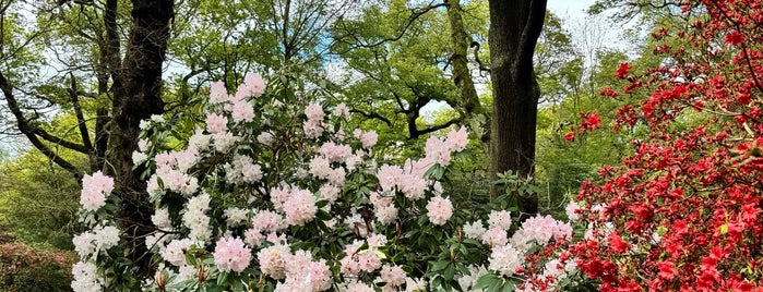 Isabella Plantation is one of occupy my mind.