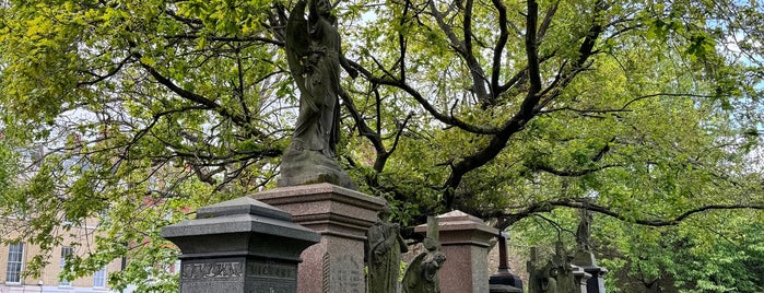 Abney Park Cemetery is one of London.