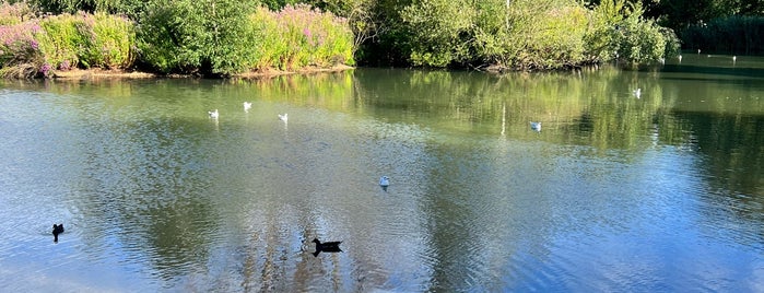 Barnes Pond is one of Parks.