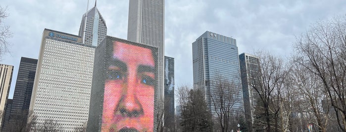 Crown Fountain is one of Favorites!. :).