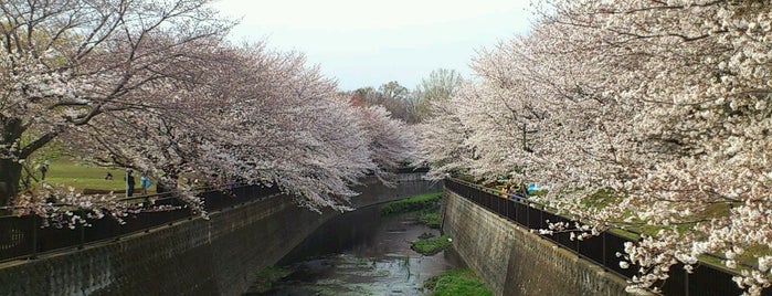 Soshigaya Park is one of Lugares favoritos de Kaoru.