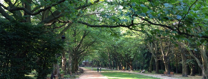 Stryiskyi Park is one of TOP-20: Львів.