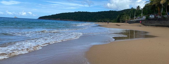 Anse de la Perle is one of Martinique & Guadeloupe.