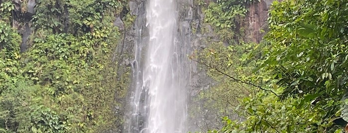 Chutes du Carbet is one of Guadeloupe.