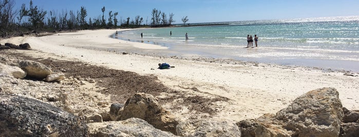 Silver Point Beach is one of Bahama Mamas.