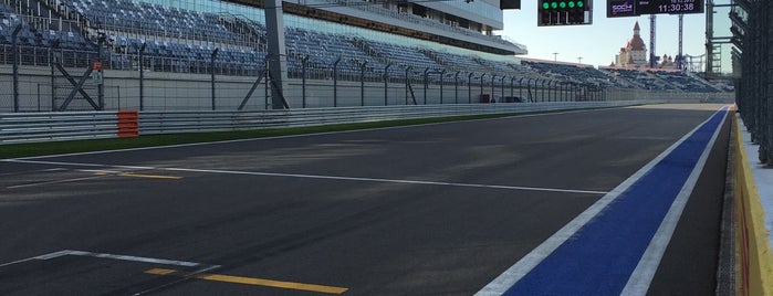 Sochi Autodrom is one of Сочи 2014.