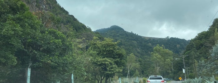 Deep Forest is one of Chiriqui.