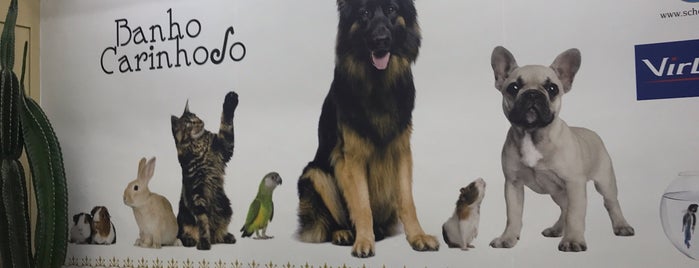 Pet Shop Banho Carinhoso is one of Serviços.