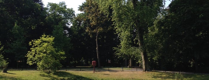 Rozendaelpark is one of Natuur en bos.