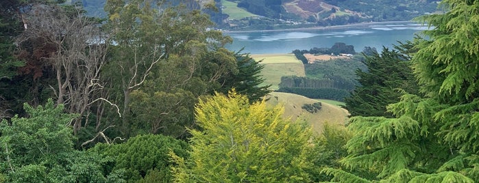Larnach Castle is one of NZ.