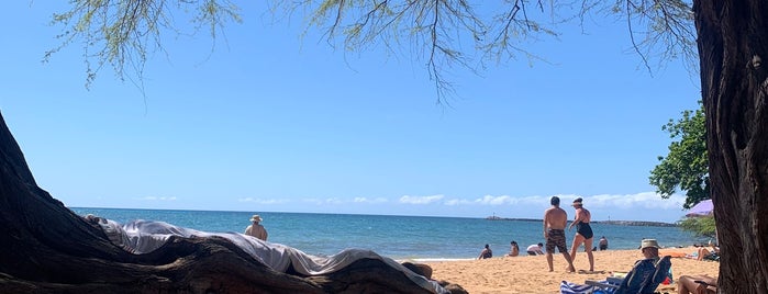 Spencer Beach County Park is one of Hawai'i.