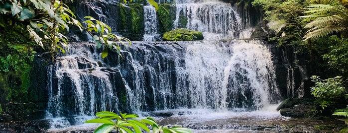 Purakaunui Falls is one of New Zealand.