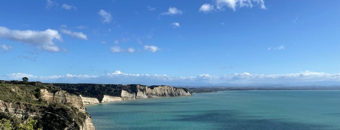 Cape Kidnappers Golf Course is one of New Zealand Favorites.