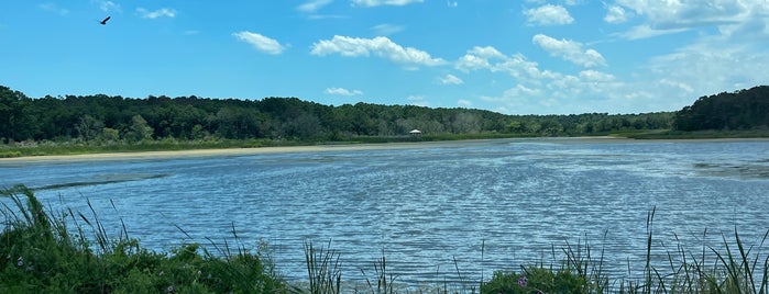 Huntington Beach State Park is one of Myrtle Beach: Traps & Treasures.