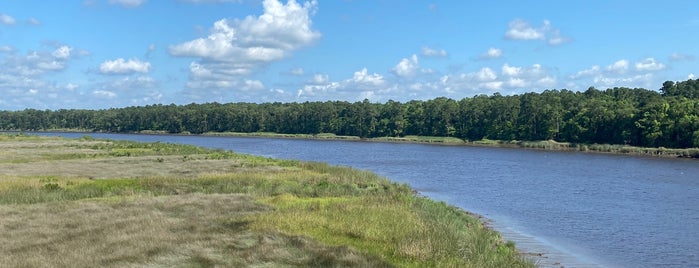 Satilla River is one of Things To Do In Camden County, Georgia.