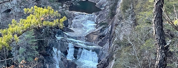 Tallulah Gorge State Park is one of Georgia State Parks.