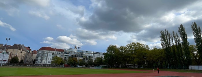 Friedrich-Ludwig-Jahn-Stadion is one of Jopps' Berlin.