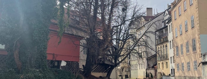 Restaurace Čertovka is one of Prague.