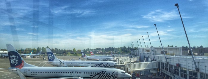 Seattle-Tacoma International Airport (SEA) is one of #iFlyAlaska Airports.