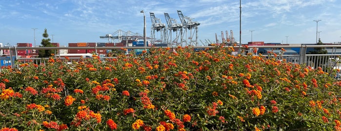 Wilmington Waterfront Park is one of Ralph's Cool Parks in Los Angeles.