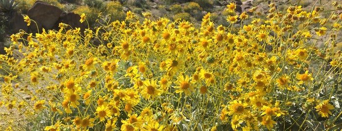 Anza-Borrego Desert State Park is one of near warner springs.