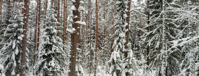 УДП РФ ФГУП ДО Валдай is one of Tempat yang Disukai Nataly.