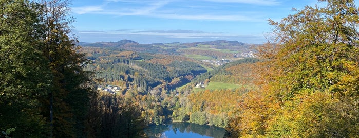 Gemündener Maar is one of Eifel.