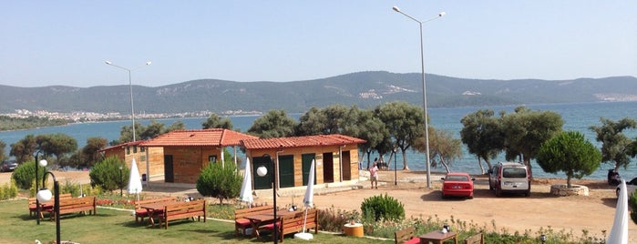 ada park 🌴 is one of Locais curtidos por Anıl.