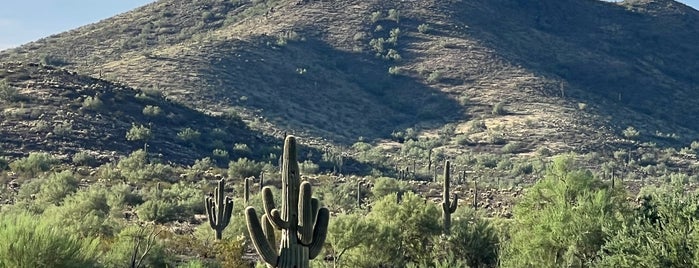The Sonoran Desert is one of дела.