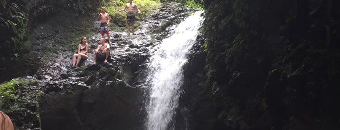 Maunawili Falls Trail is one of Best Oahu Hikes.