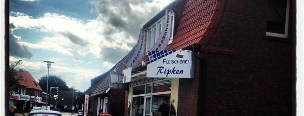 Ripken is one of Must de Alemania.