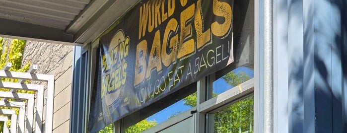 Blazing Bagels is one of Seattle draft.