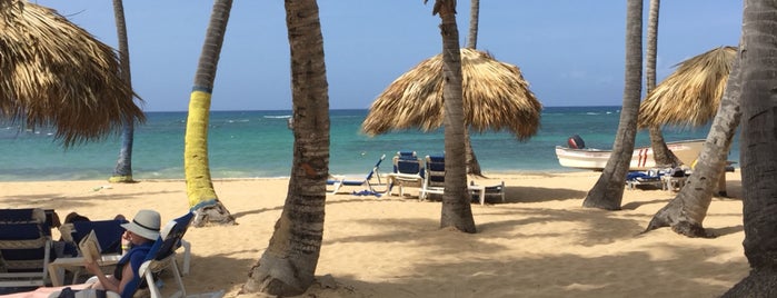 Sirenis Cocotal Beach Resort Casino & Spa Punta Cana is one of Jeeleighanne'nin Beğendiği Mekanlar.